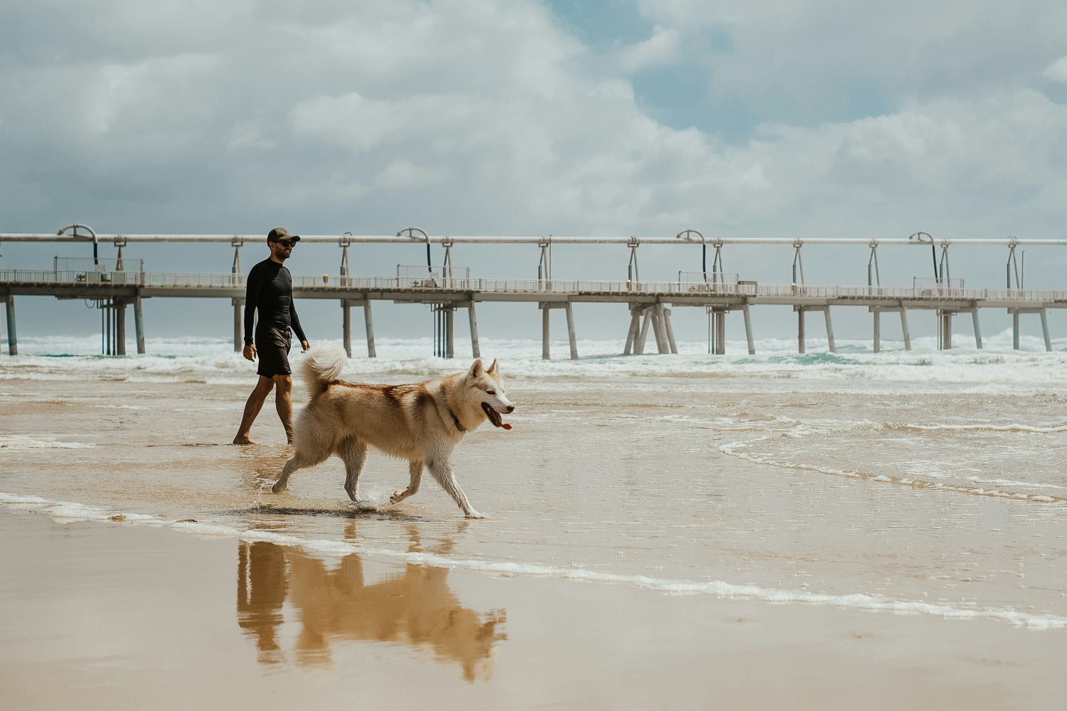 Husky Exercise Routine: Essential Activities for a Healthy Working Dog