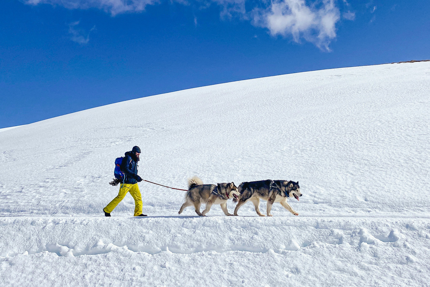 Best Outdoor Activities for Huskies: Energizing Exercises for Your Arctic Companion